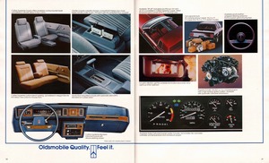 1987 Oldsmobile Cutlass-30-31.jpg